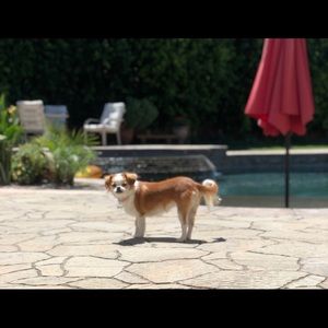 Meet your Posher, Carly